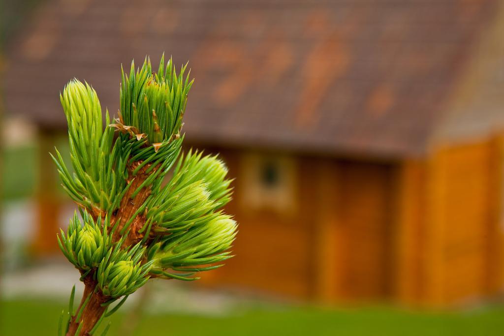 Partsilombi Holiday Home Otepaa Exterior foto